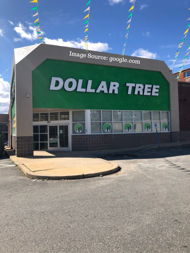 5 Dollar Tree Items To Buy To Save Money This Memorial Day